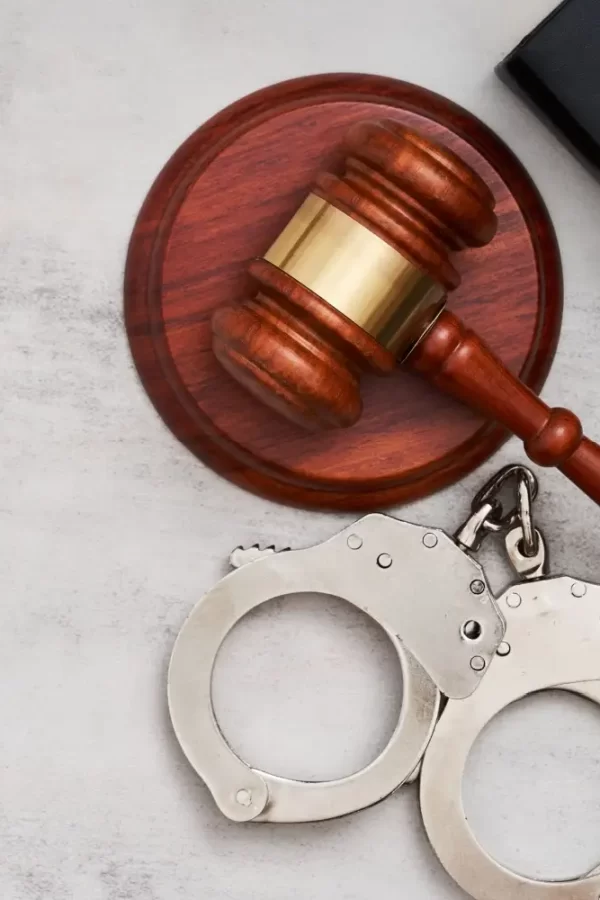criminal matters1